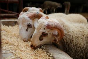 Imbroda cree que en el Gobierno “saben ya perfectamente” qué medidas deben adoptar “y deberían estar trabajando” en ello