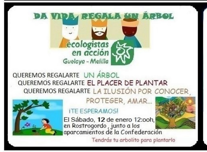 Cartel de Guelaya de la reforestación solidaria este mes