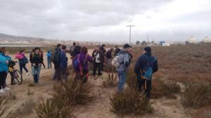 En imágenes, la excursión organizada por la Asociación Guelaya Ecologistas en Acción a la laguna de la Mar Chica