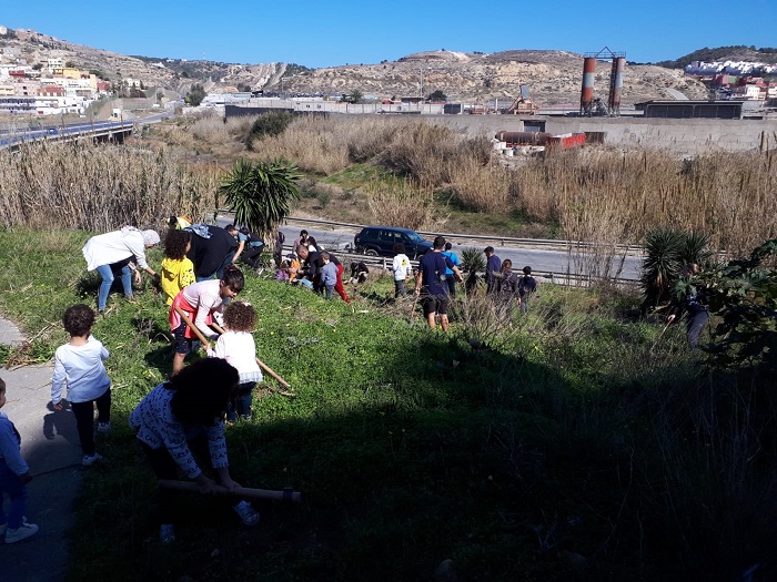 Guelaya organizó ayer una plantación cerca de la carretera de la circunvalación con la ayuda de unos cincuenta melillenses que quisieron participar