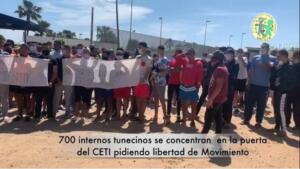 La ONG Prodein informó del traslado de inmigrantes en su perfil de Twitter