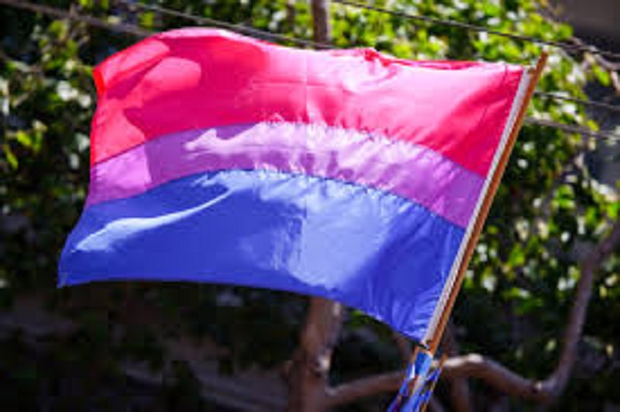 En la imagen, bandera del colectivo bisexual que está compuesta por los colores rosa, morado y azul