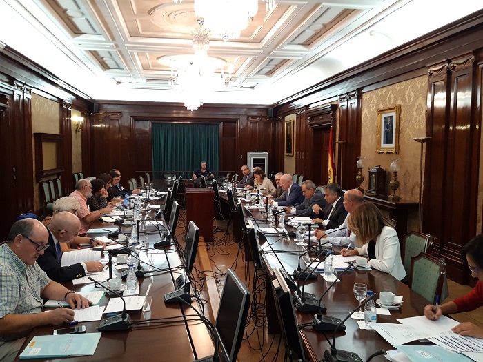 La reunión del Consejo de Participación se desarrolló ayer miércoles en la sede del Instituto de Gestión Sanitaria (INGESA) en Madrid