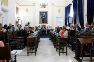 Primer Pleno de Control al Gobierno transcurridos los primeros 100 días de gestión