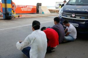 Es, al menos, el cuarto traslado desde Chafarinas con buques enviados desde Andalucía