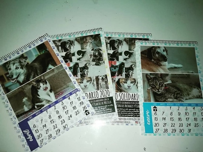 En la imagen, el calendario con las fotografías de los distintos perros y gatos