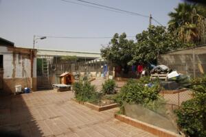 Imagen de parte de la protectora, donde se puede ver el espacio que disponen para los animales