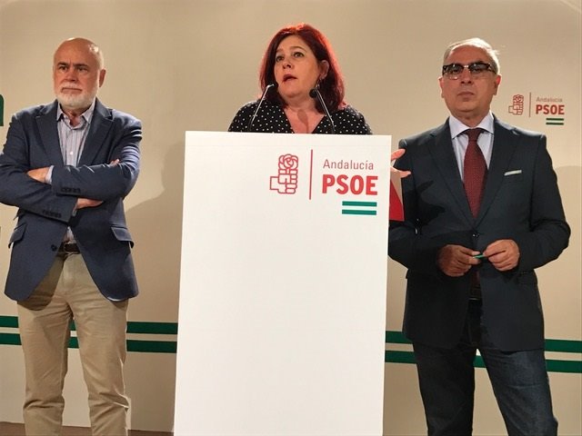 La diputada del PSOE, Elvira Ramón encabeza los contactos