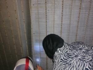 Quienes acudieron al SEPE, lo hicieron con linternas por la oscuridad de la zona y por la distancia con el panel cubierto con barrotes de hierro