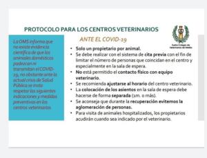 Las recomendaciones del Colegio de Veterinarios de Melilla ante la COVID-19