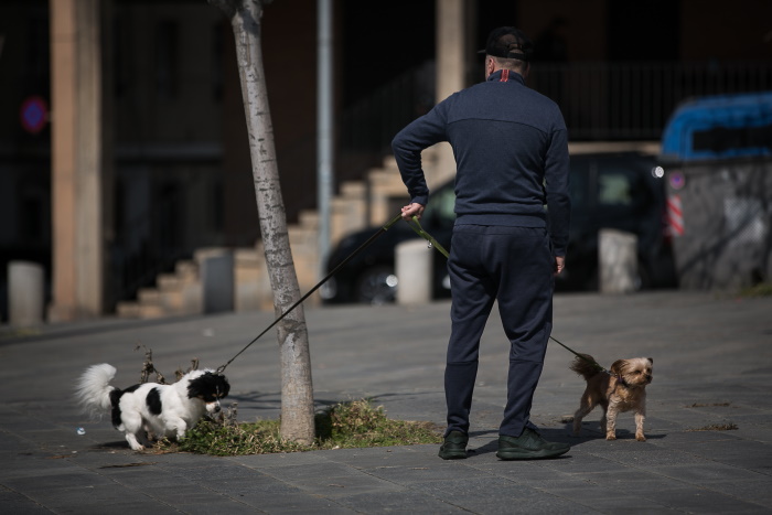 Un hombre pasea dos perros en el Paseo Marítimo de Barcelona durante el estado de alarma