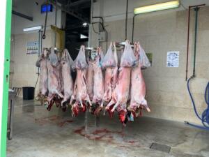 Cien animales se sacrificiaron en el matadero