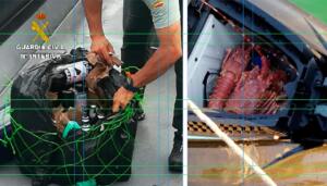Las fronteras de Ceuta y Melilla permanecen cerradas desde el pasado 13 de marzo por la crisis del covid