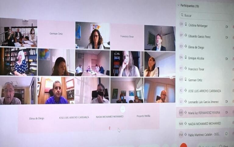 Reunión del Comité de Seguimiento por realizada de forma telemática