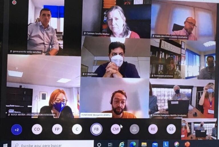 Participantes del Comité durante la videoconferencia