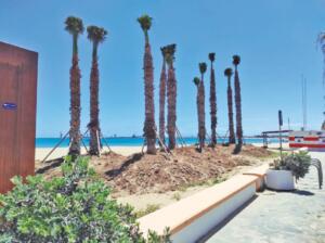 Tras el “Melilla en Flor” se preparan las playas de la ciudad con un nuevo oasis