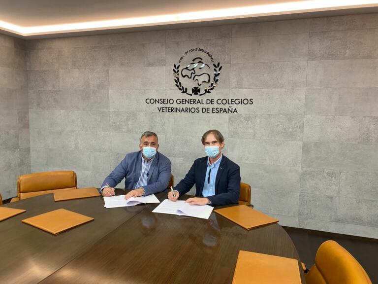 Momento del hermanamiento entre los dos colegios