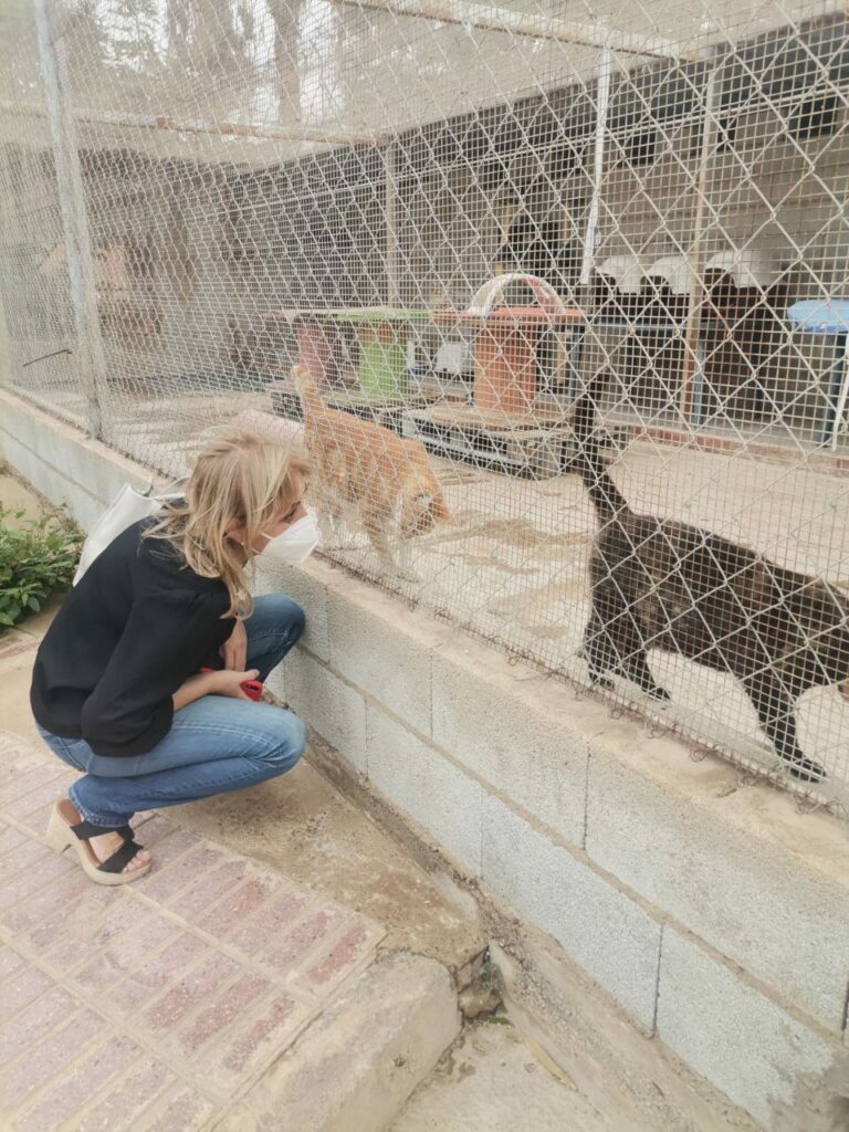 La consejera de Salud Animal en su visita  a la Sociedad Protectora de Animales de Melilla