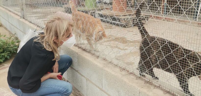 La consejera de Salud Animal en su visita  a la Sociedad Protectora de Animales de Melilla