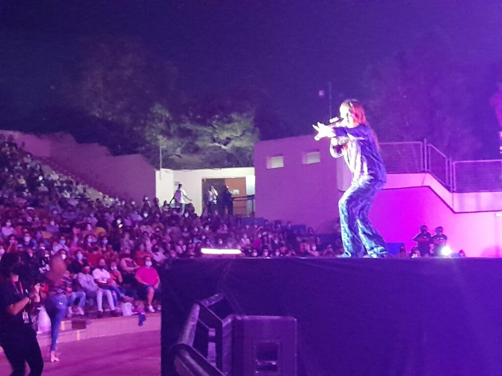 Concierto de Vanesa Martin