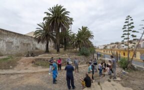 Defensores del arbolado en Melilla