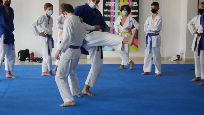Imagen del curso de karate