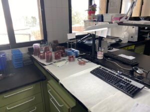 Servicio de Microbiología del hospital