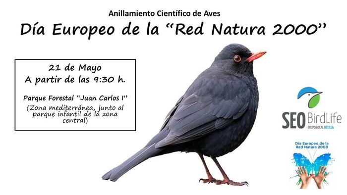 SEO BirdLife Melilla celebrará el Día Europeo de la 'Red Natura 2000' -  MelillaHoy