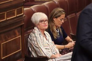El PSOE sostiene que la Comisión de Venecia cree que la amnistía no choca con la Constitución ni el Derecho Europeo