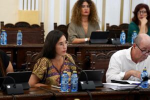 Fernández de Castro