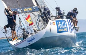 VELA (3)