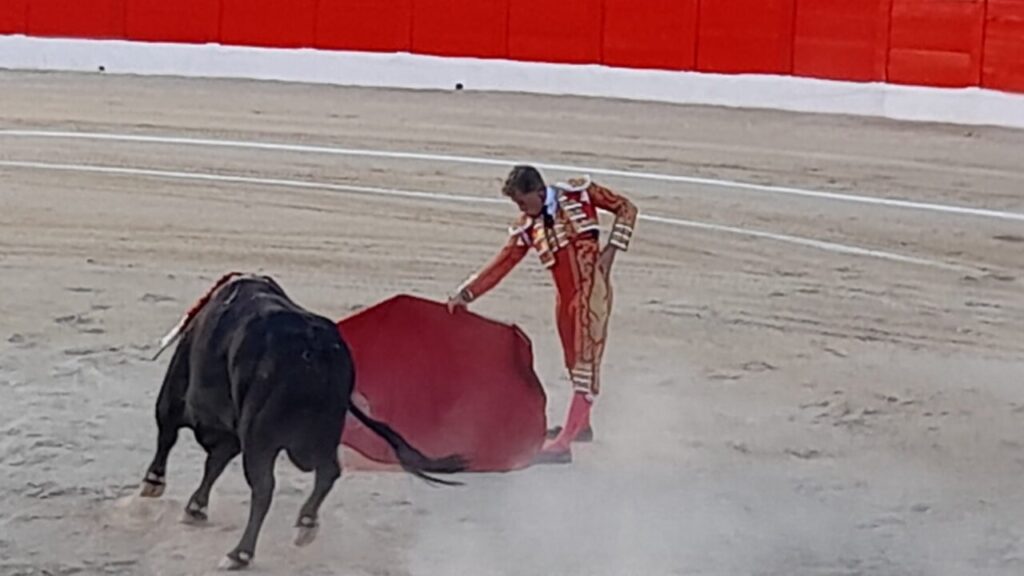 Toros 2