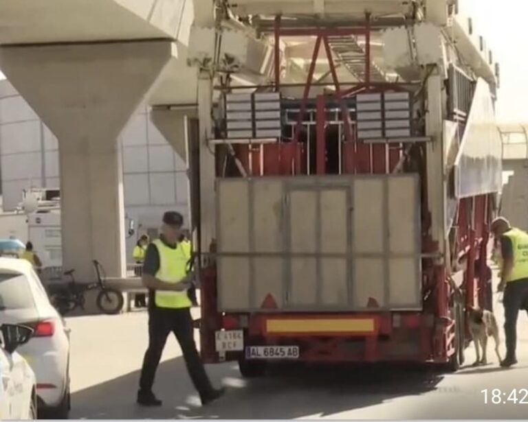 WhatsApp Image 2024 09 17 at 18.50.58