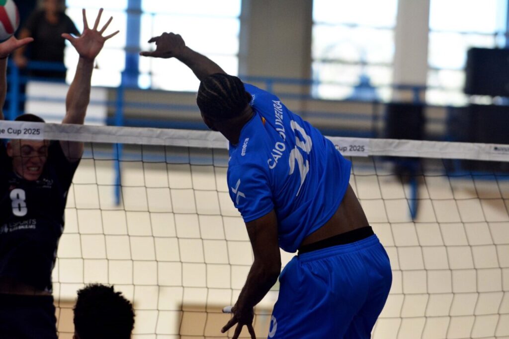 0e393b12 1ccf 4a0f b322 bca8c038a444