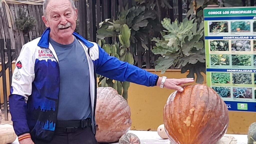 Calabaza 2