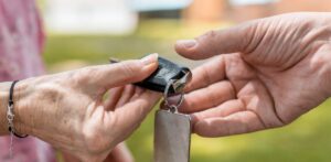 Conductores senior 2024