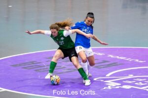 LES CORT TORREBLANCA (12)