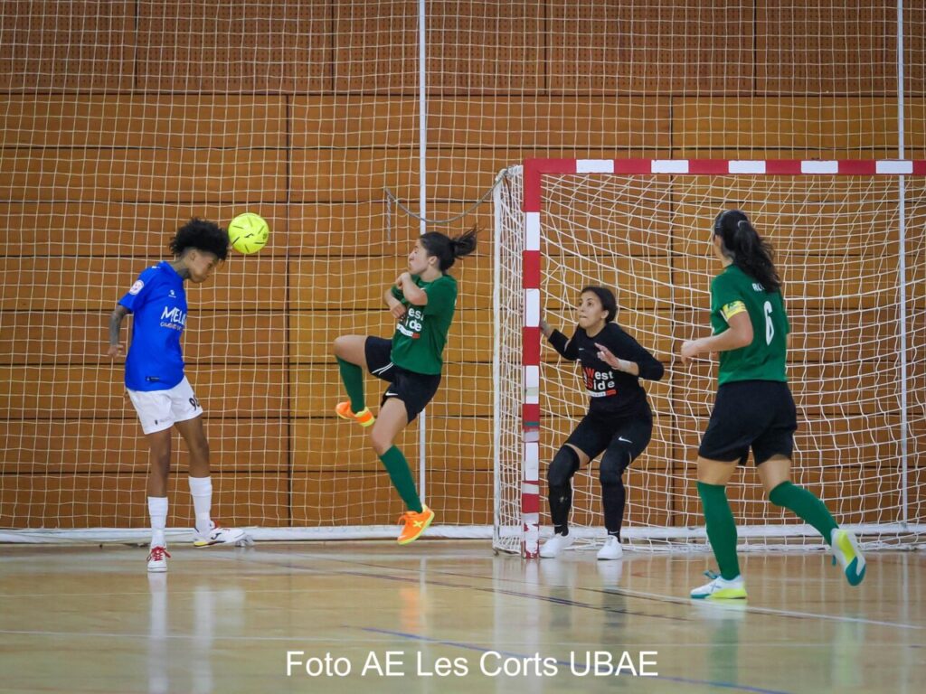 LES CORT TORREBLANCA (5)