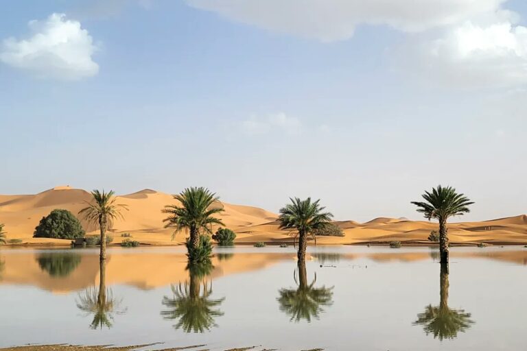 Sahara inundaciones 2024