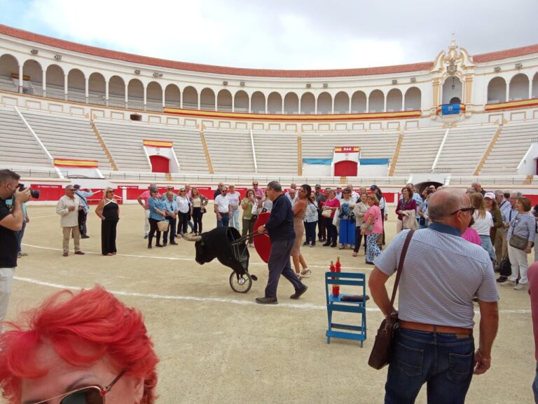 WhatsApp Image 2024 10 23 at 13.09.22 (1)