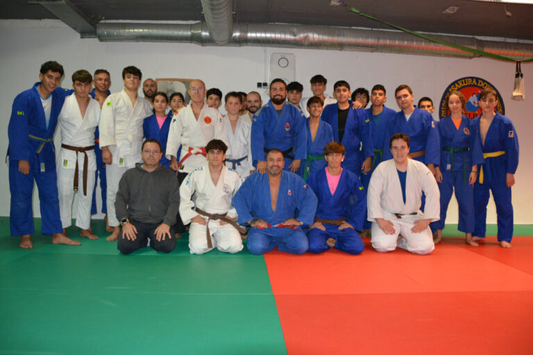 ABSOLUTO JUDO