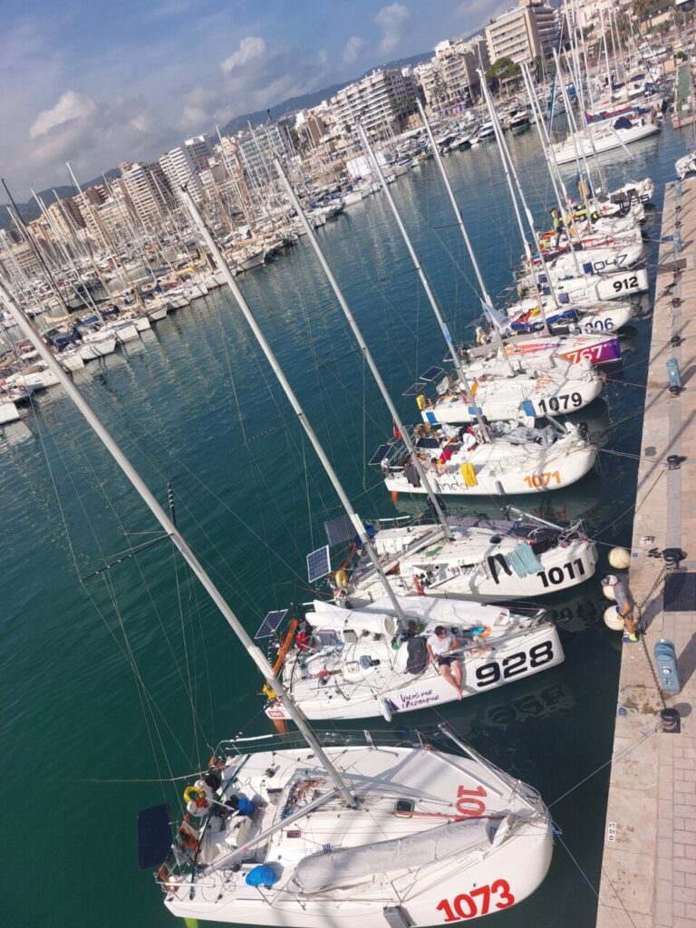 Embarcaciones en Palma2