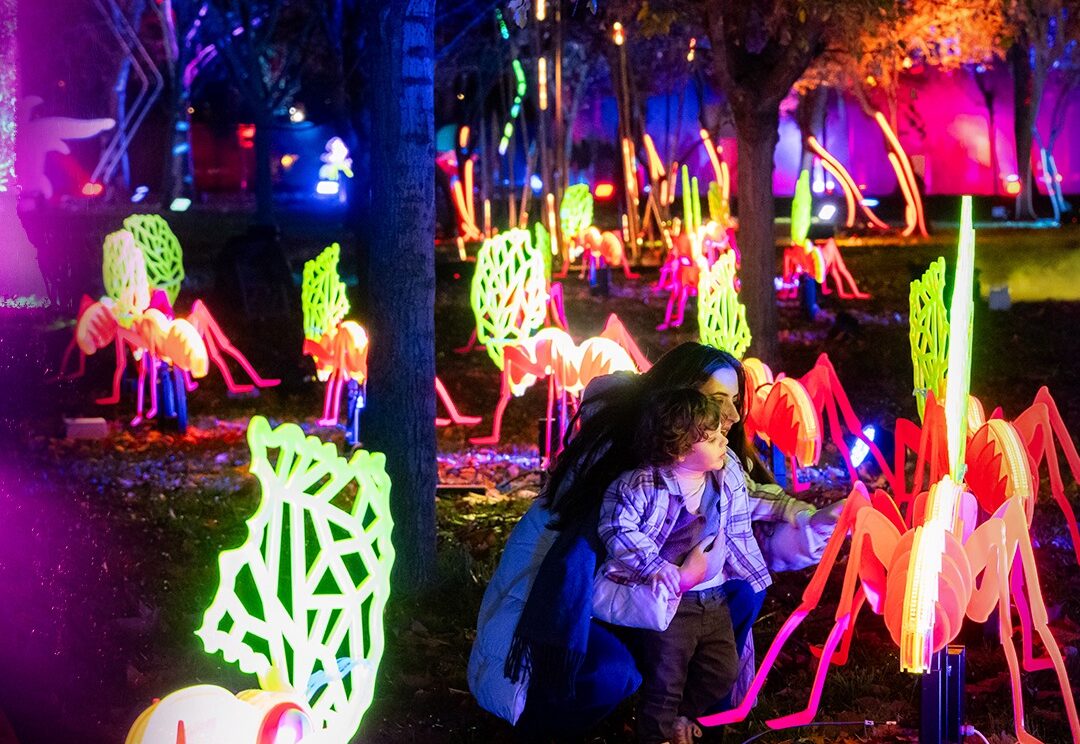 Naturaleza Encendida 2024 01