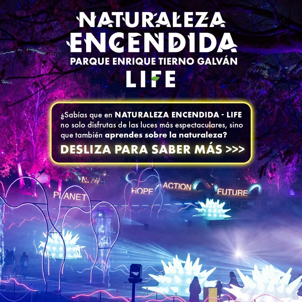 Naturaleza Encendida 2024 12