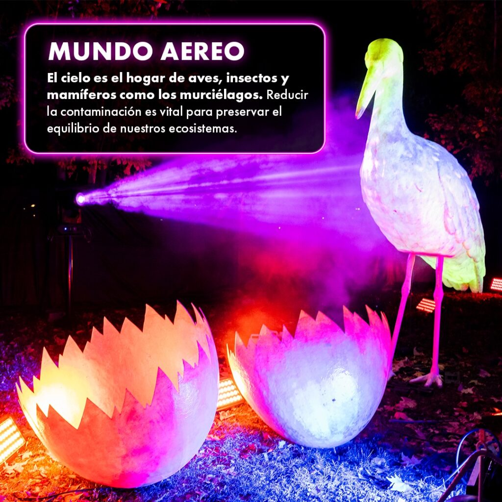 Naturaleza Encendida 2024 15