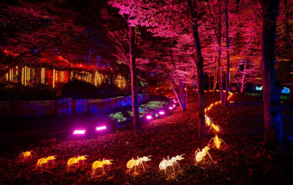 Naturaleza Encendida 2024 23