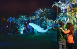 Naturaleza Encendida 2024 24