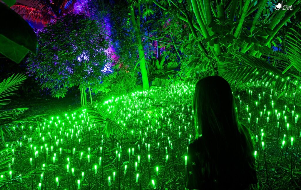 Naturaleza Encendida 2024 25