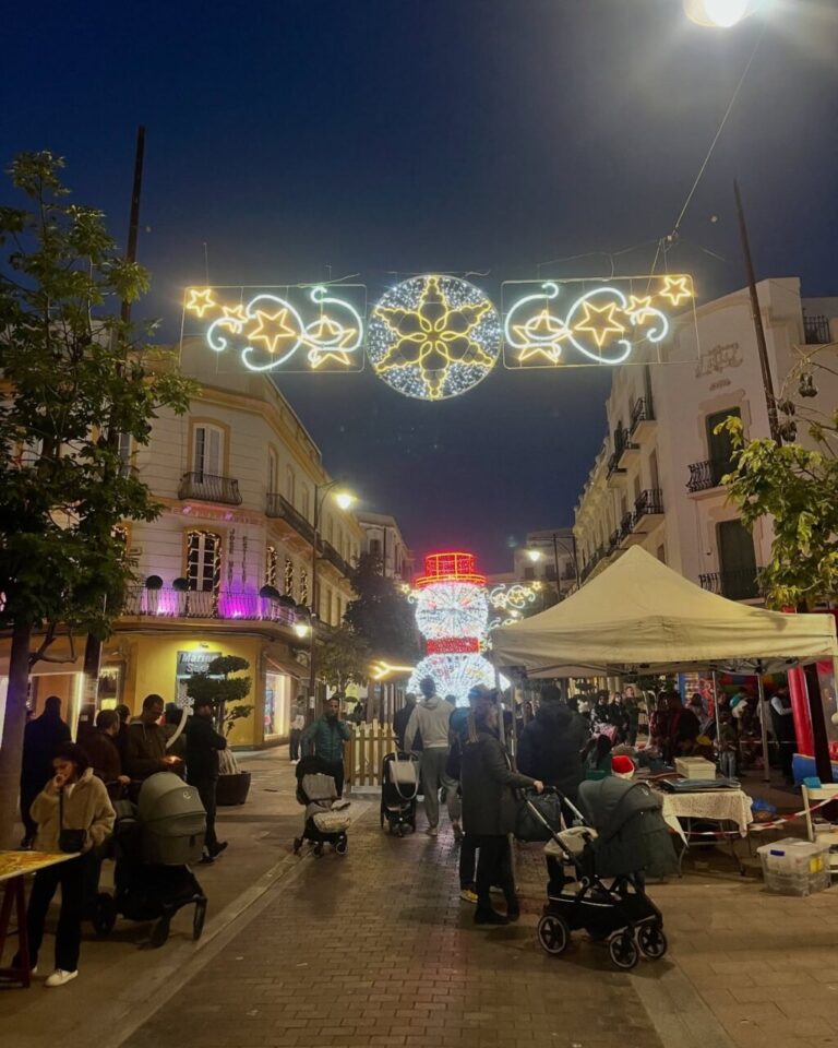 WhatsApp Image 2024 12 12 at 4.42.12 PM