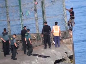 devolución en caliente